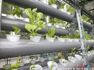 过滤系统之植物过滤